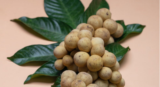 处暑当天吃什么好？这8种传统食物不可少510.png