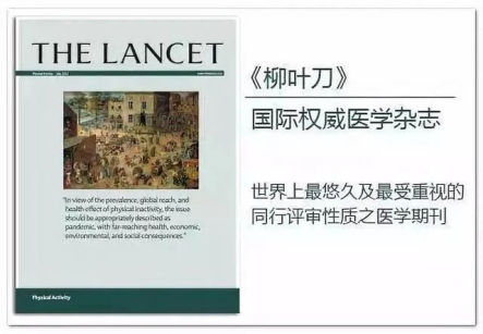 为什么吃脂肪还会瘦？科学解读脂肪代谢过程303.png